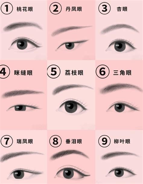 丹鳳眼狐狸眼|桃花眼、凤眼、狐狸眼，垂眼……来看看你是哪一种眼型？